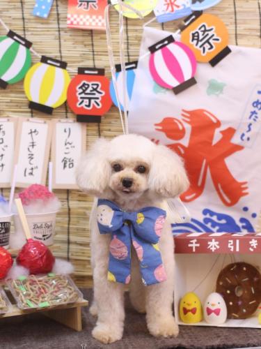 20240704リコちゃん